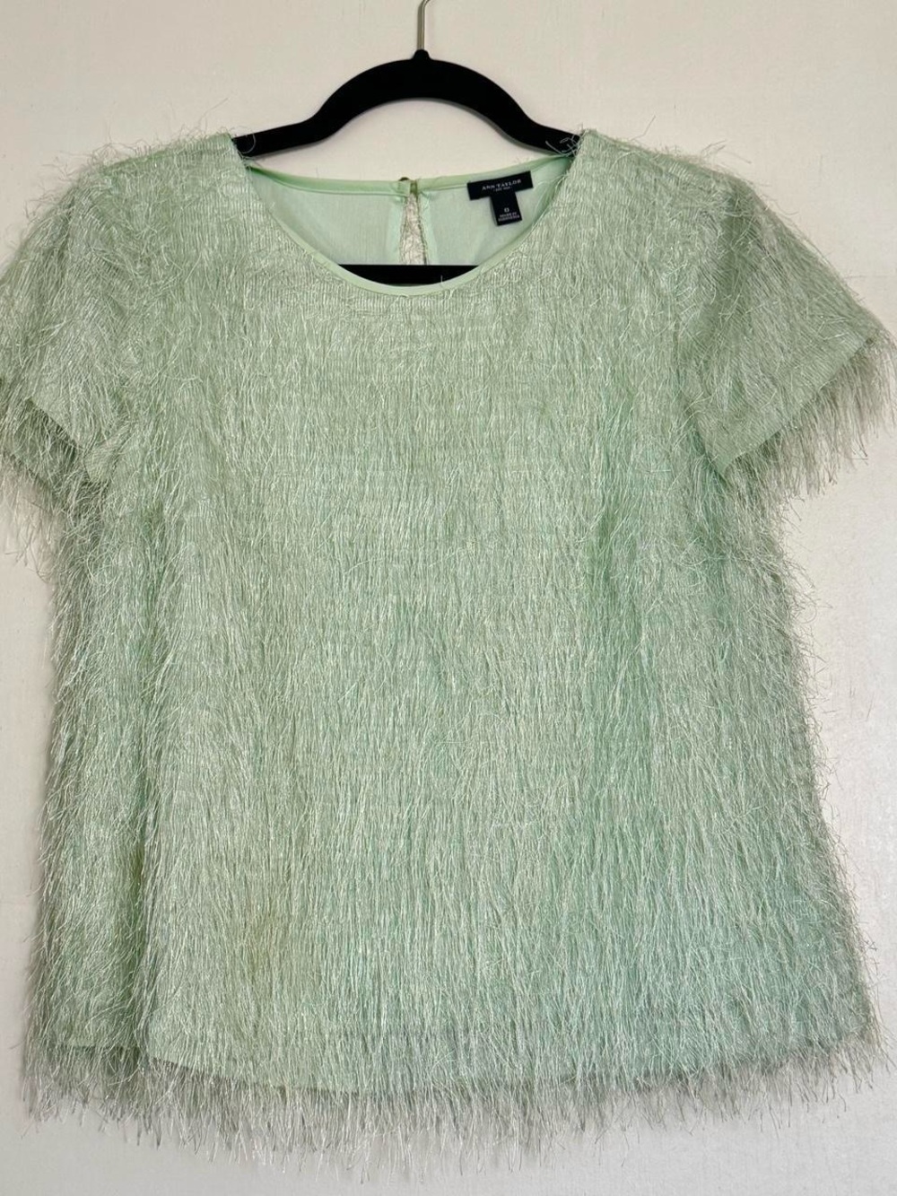 Ann Taylor Sea Foam Green Short Sleeve Fringe Short Sleeve Top